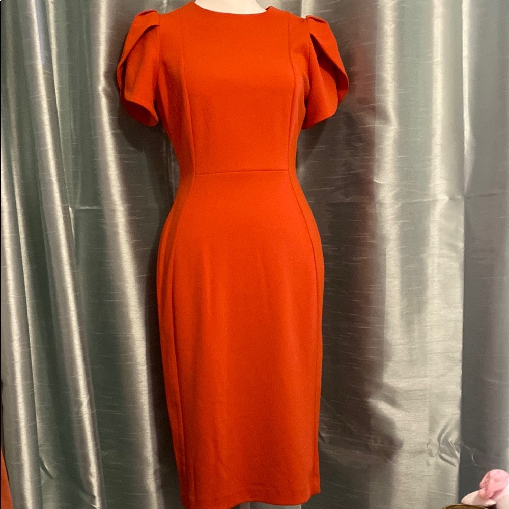 Elegant Orange Dress